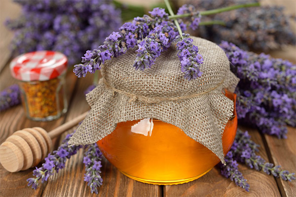 How Lavender Honey Benefits