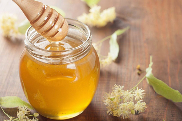 Hvad er nyttig lind honning