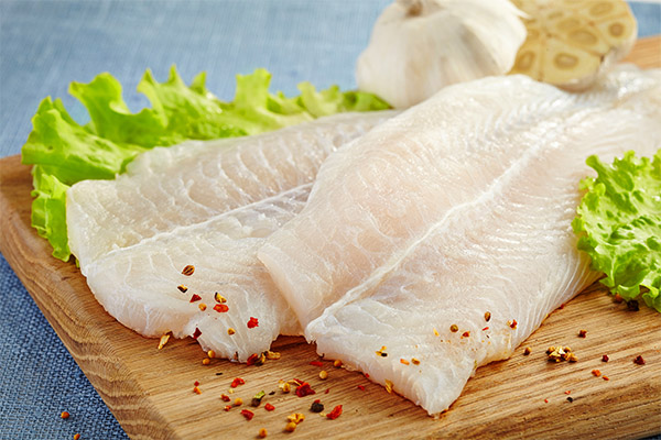 What is Pangasius good for?