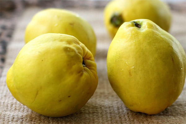 Quince Jam Facts