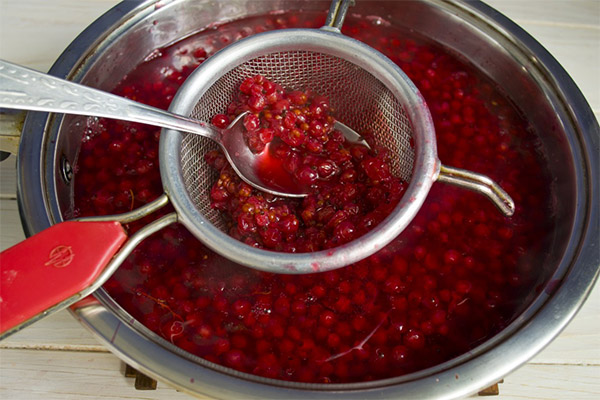 How to cook red currant jam