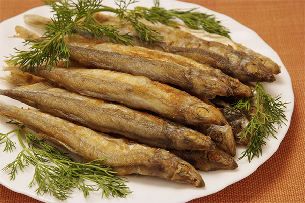 How to cook capelin delicious