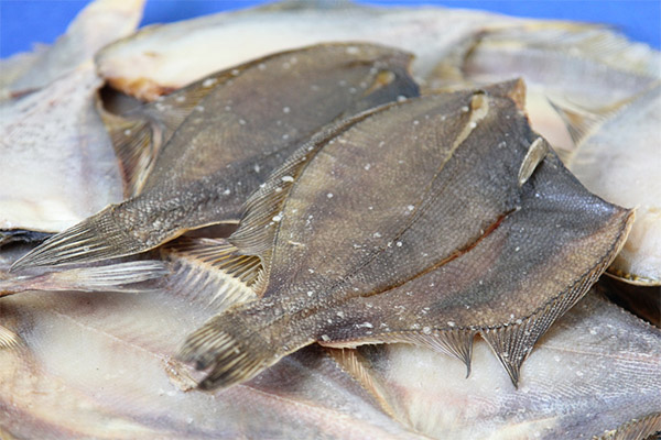 How to choose and store plaice