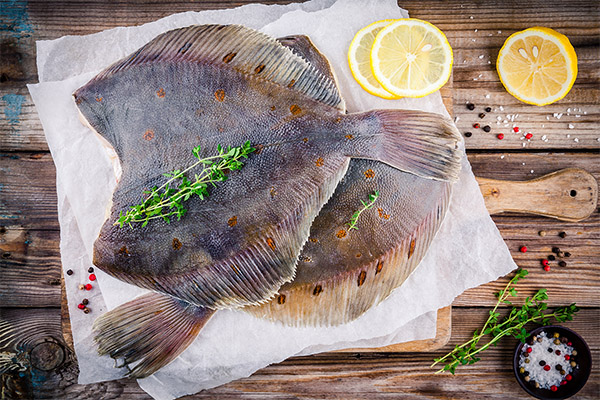 Can you eat flatfish for weight loss