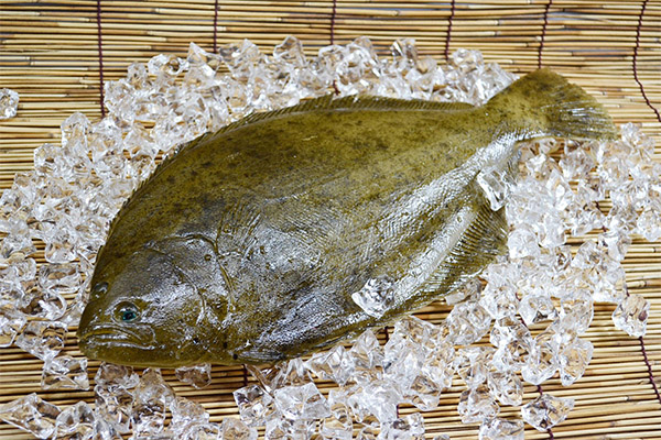 Useful properties of flounder