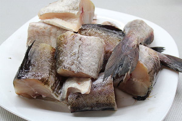 Useful properties of Pollack fish