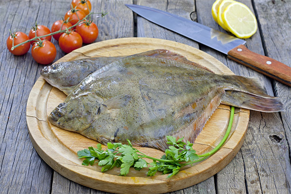 The benefits and harms of flounder