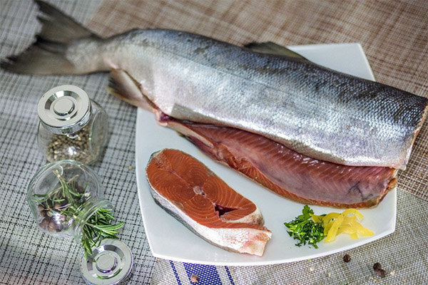 Avantages pour la santé du saumon kéta