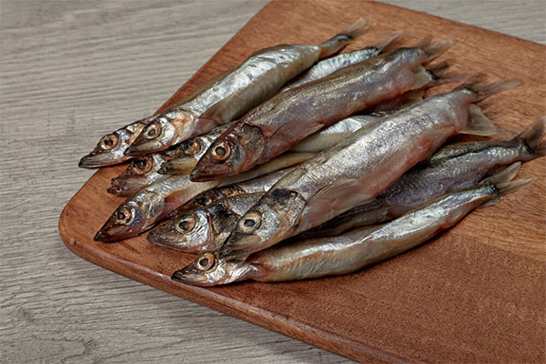 The benefits and harms of capelin