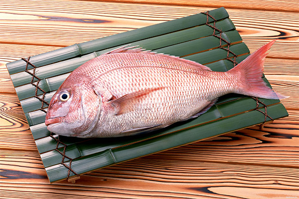 The benefits and harms of sea bass
