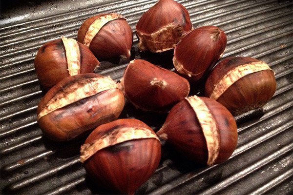 Edible Chestnut in Cooking