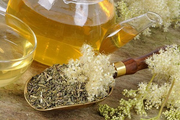 Kinds of medicinal compositions with meadowsweet