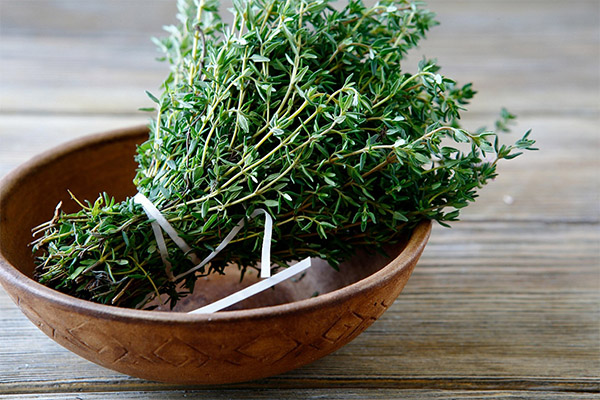 Thyme in cooking