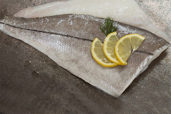 What is the usefulness of haddock fish