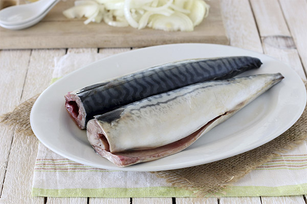 What are the benefits of mackerel