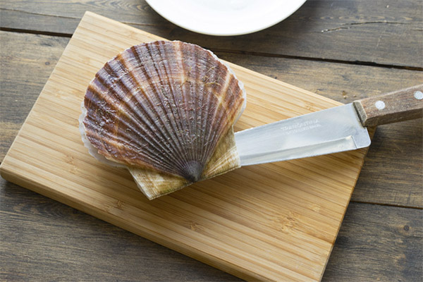 How to use scallops