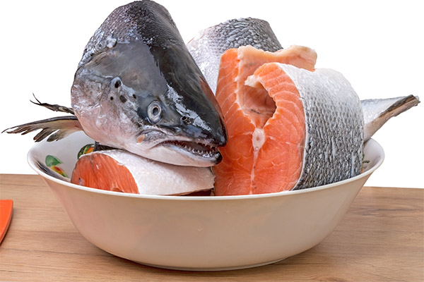 Que peut-on cuisiner avec du saumon ?