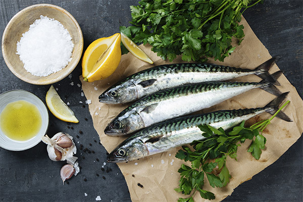 What can be cooked from mackerel