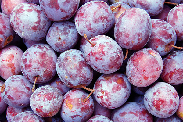Interesting Facts about Plums
