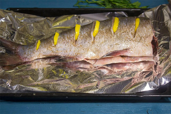 Wie man fetten Fisch zubereitet
