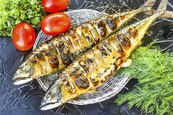 How to cook mackerel very well