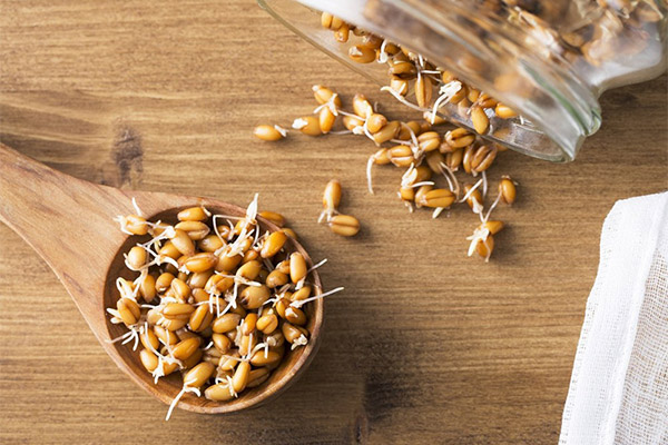 Hvilke kornprodukter du kan og ikke kan spise med pancreatitis