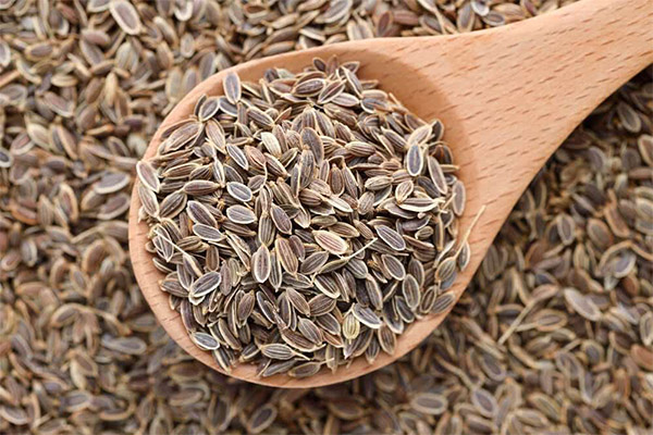 Welche Samen man bei Hämorrhoiden essen kann und welche nicht
