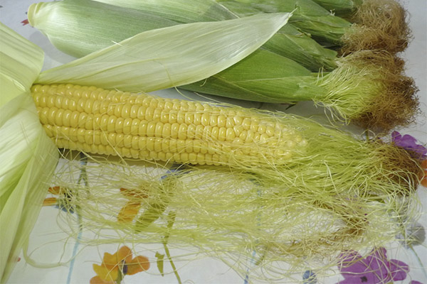 Therapeutic properties of corn stigmas