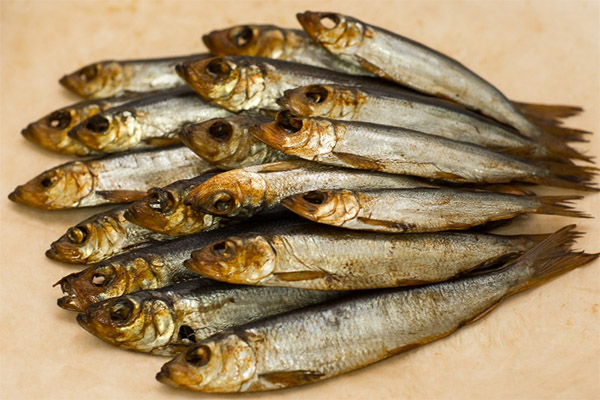 Usefulness of smoked herring