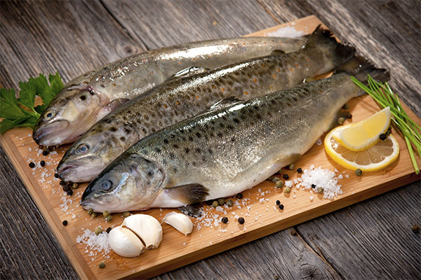 The benefits and harms of trout