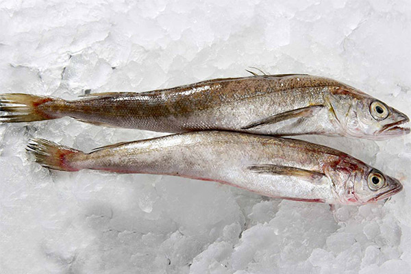 Benefits and harms of hake