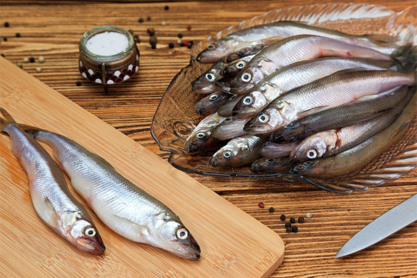The benefits and harms of smelt