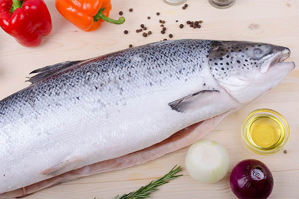 Benefits and harms of salmon