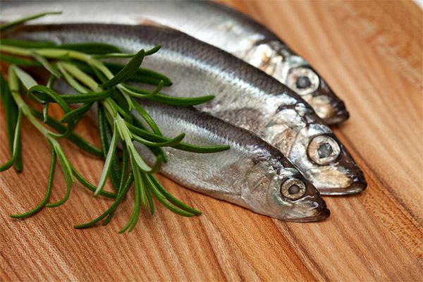 The benefits and harms of herring