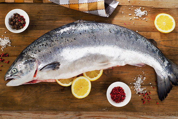 The benefits and harms of salmon