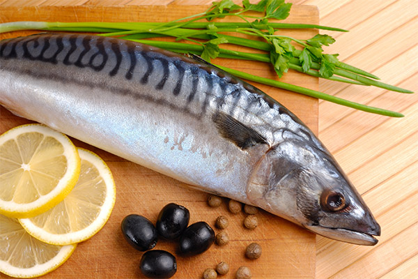 The benefits and harms of mackerel