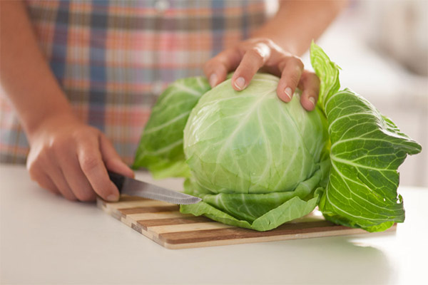 Culinary Applications of Cabbage Leaf