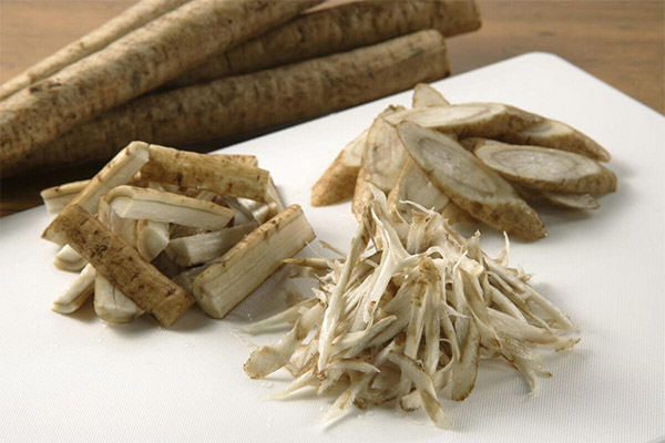 The use of burdock root in cooking