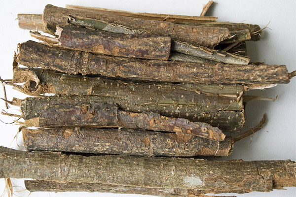 Contraindications to the use of aspen bark