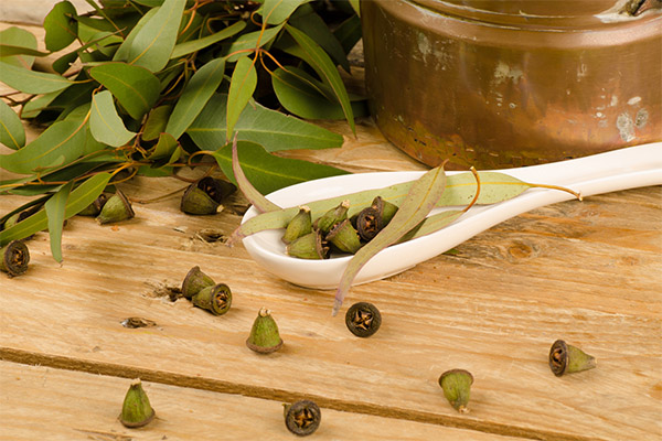 Kinds of medicinal compositions with eucalyptus