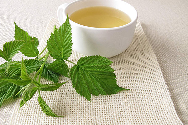 Types of medicinal compositions with raspberry leaves