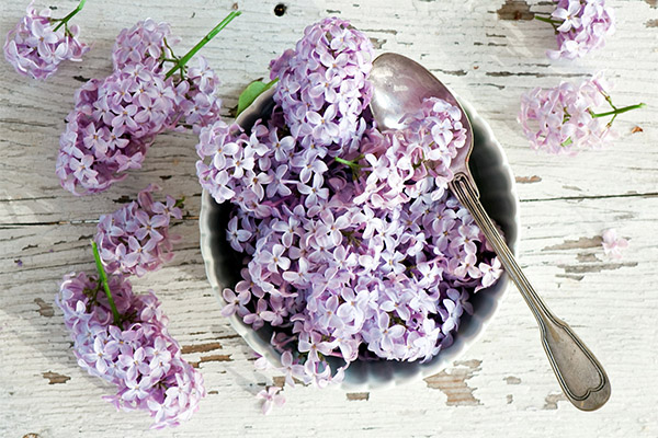 Types of medicinal compositions with lilacs