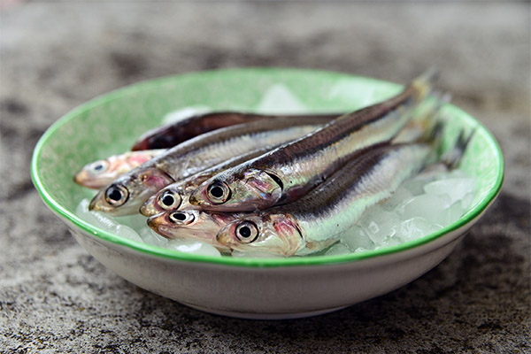 What is the usefulness of anchovies