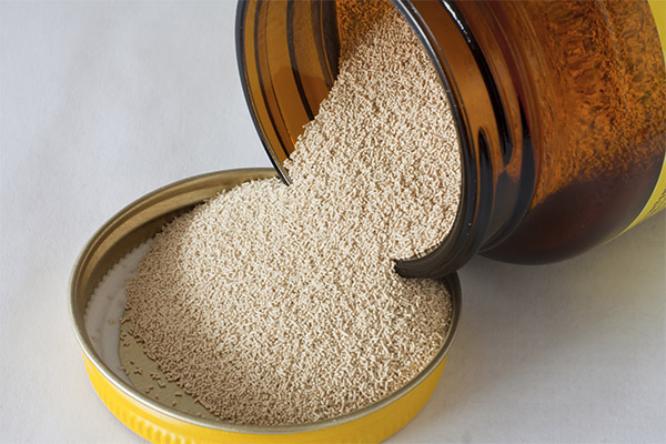 What are the benefits of brewer's yeast