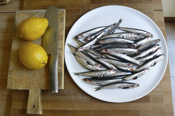 What can be cooked from anchovies