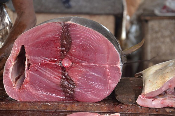 Was man mit Thunfisch kochen kann