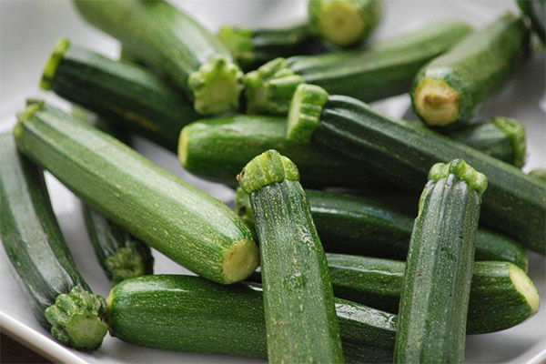 Interessante fakta om zucchini