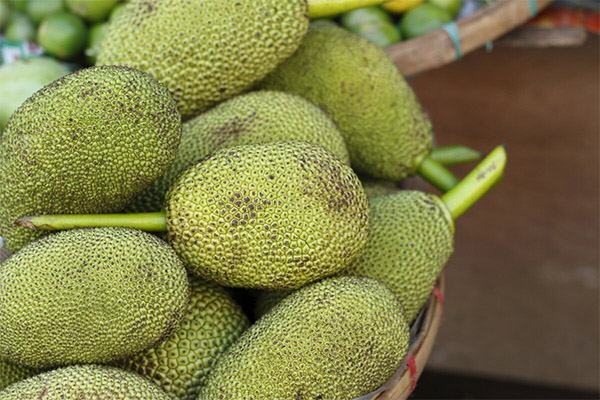 Interesting facts about jackfruit