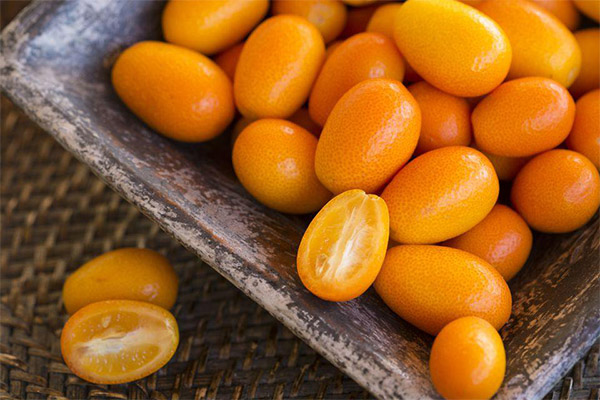 Fakta om kumquat