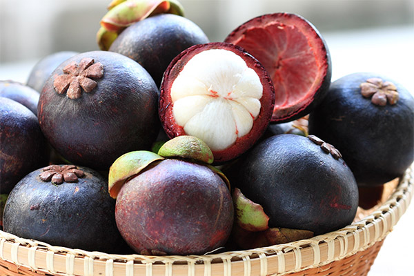Auswahl und Lagerung der Mangostan-Frucht